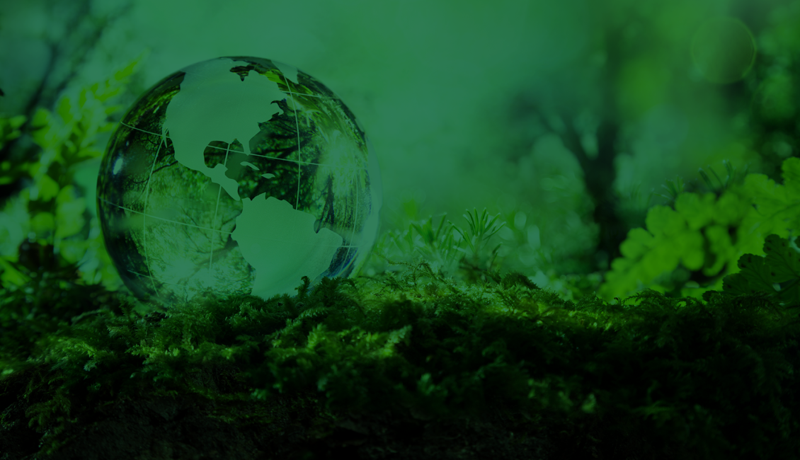 Foro de Bioeconomía de Castilla y León