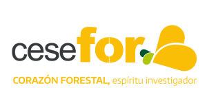 Fundación Cesefor